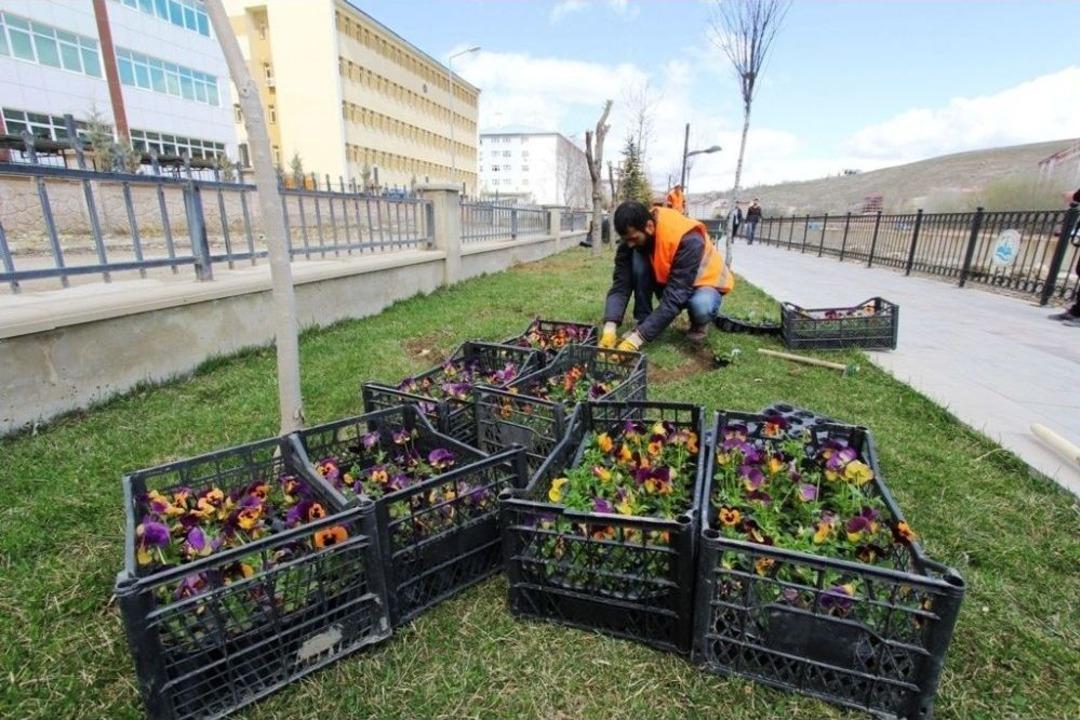 Bayburt &Ccedil;i&ccedil;ek A&ccedil;ıyor