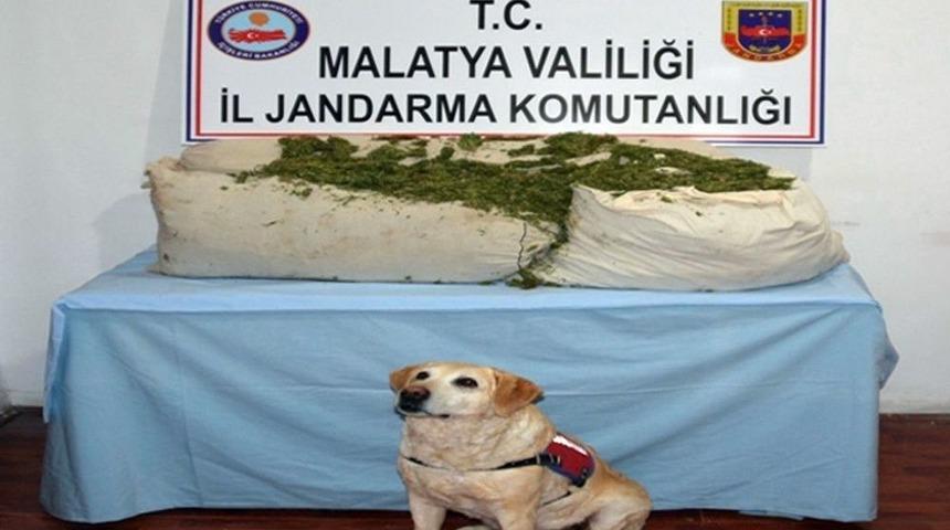 Jandarma 73 Kilo Uyuşturucu Madde İle 3 Bin 500 Paket Ka&ccedil;ak Sigara Ele Ge&ccedil;irdi