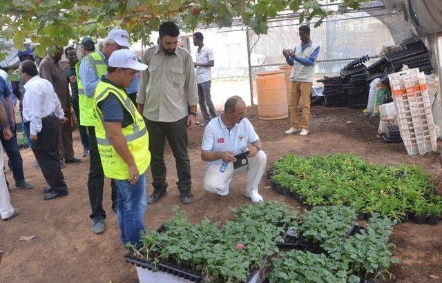 Tika&rsquo;nın Yaptırdığı Somali Anadolu Ziraat Fak&uuml;ltesi Binası Hizmete A&ccedil;ıldı 1