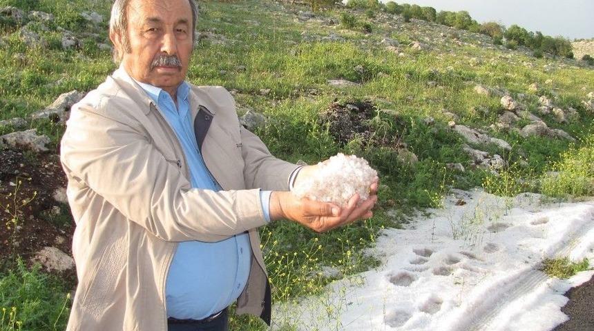 Dolu, Fıstık Bah&ccedil;esi Ve Hububat Alanlarını Vurdu