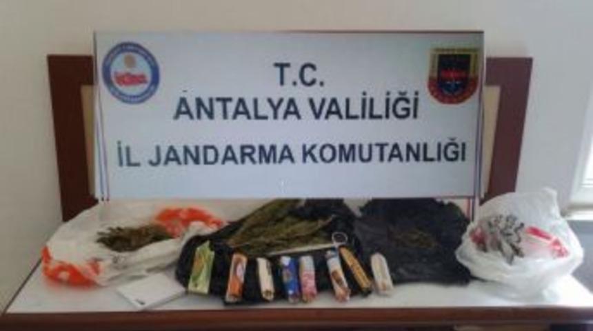 Jandarmadan Uyuşturucu Operasyonu