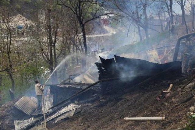 Artvin Ortaköy’De Yangın: 6 Binadaki 14 Daire Yandı