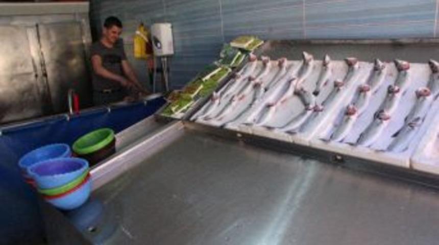 Av Yasağı Tezgahları Boş Bıraktı