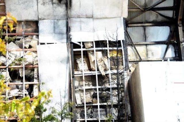 Halikarnas Disko da Korkutan Yangın 3