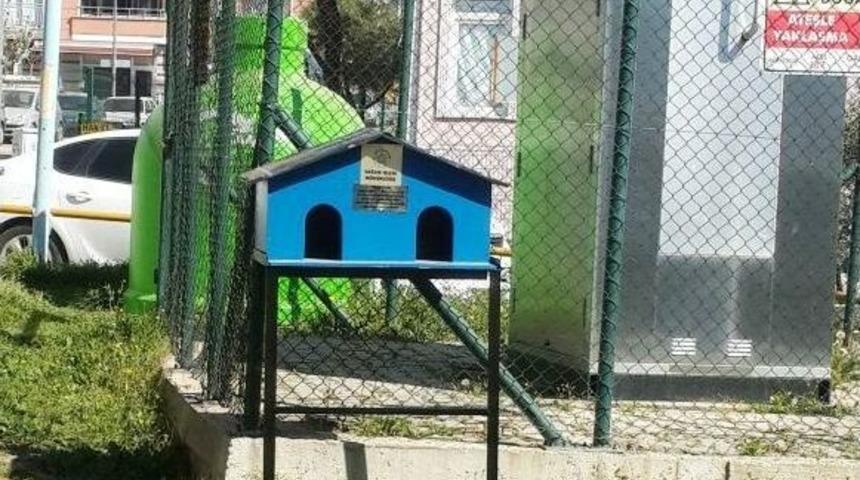 Sokak Kedileri İ&ccedil;in Yeni Kedi Evleri Yerleştirilmeye Başlandı