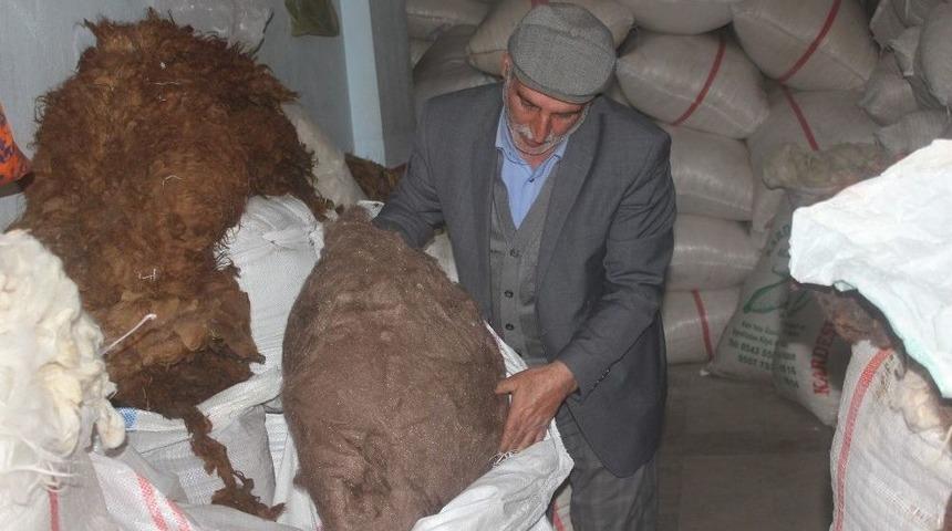 Y&uuml;nc&uuml;l&uuml;k Sekt&ouml;r&uuml; Teknoloji Kurbanı Oldu