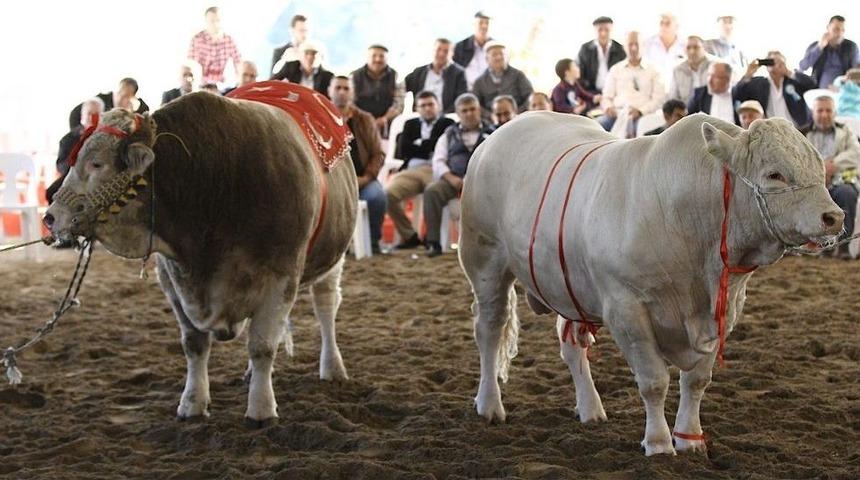 Burdur G&uuml;zelleri Podyuma &Ccedil;ıkacak