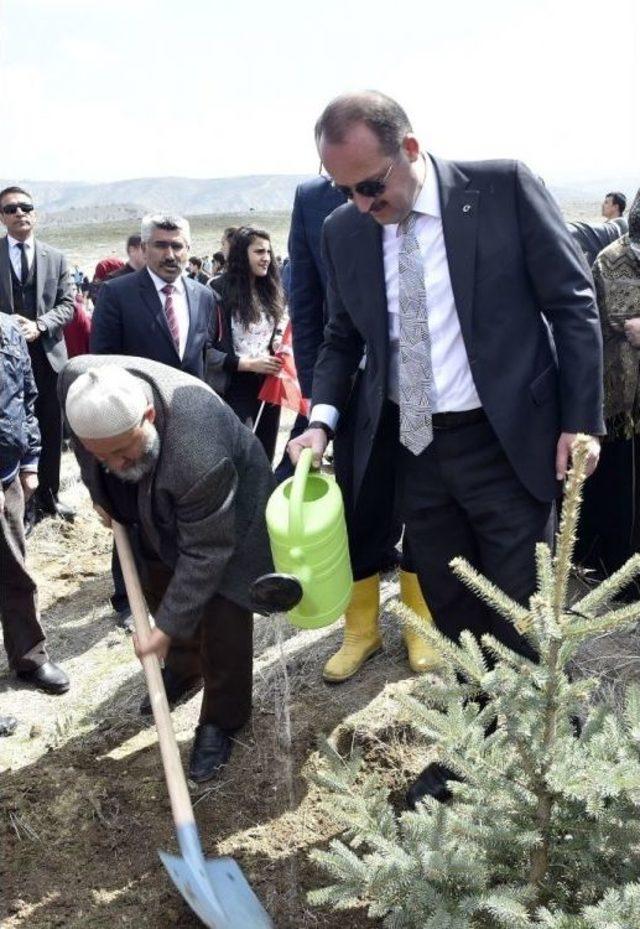 Mamak’ta Şehitler Adına Hatıra Ormanı Kuruldu