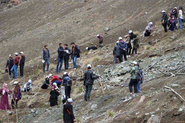 Binlerce Fidan Toprakla Buluştu