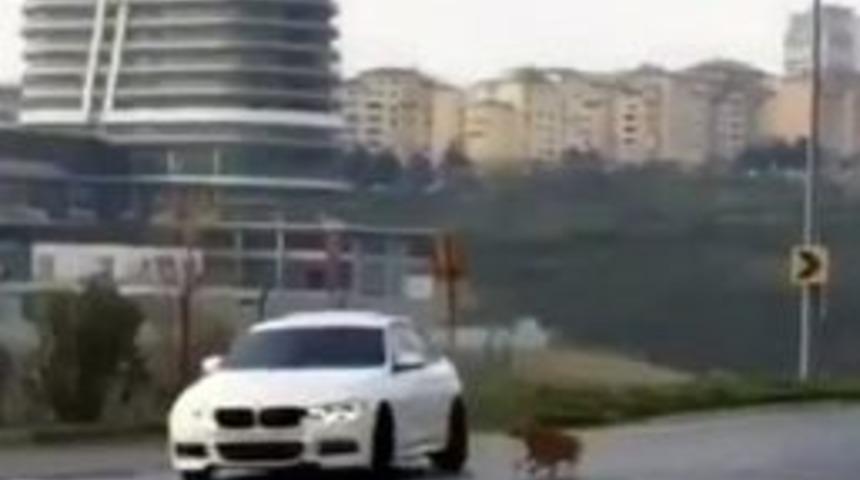 (&ouml;zel Haber) Trafik Magandası Kamerada