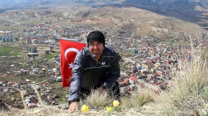 Baharla Birlikte Dağlar Renklendi