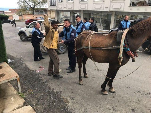 Trafiği Tehlikeye Atan At Arabaları Toplandı