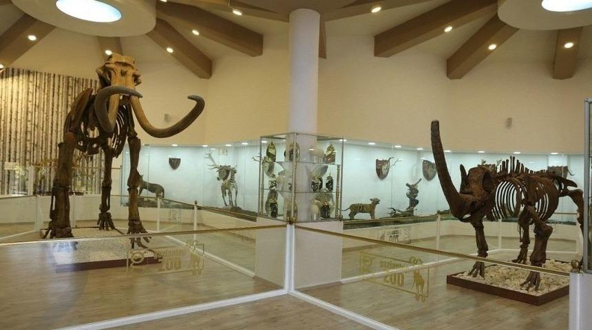 T&uuml;rkiye&rsquo;nin İlk Ve Tek Zooloji Ve Doğa M&uuml;zesi A&ccedil;ılıyor