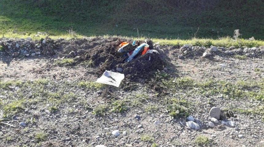 Batman&rsquo;da 150 K&ouml;k Kenevir Ele Ge&ccedil;irildi