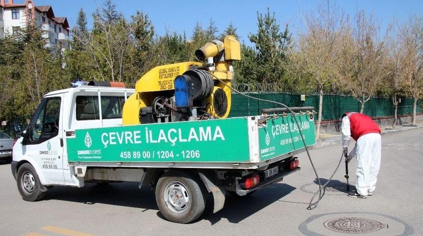 Haşereyle M&uuml;cadelede Yoğun Mesai Başlıyor