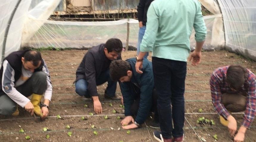 D&uuml;zce &Uuml;niversitesi &Ouml;ğrencilerinden Organik Tarım &Uuml;retimi