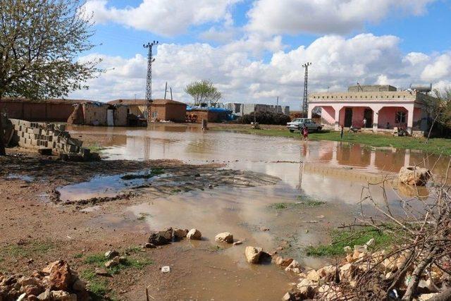 Akçakale’de Yağmur Suyu Biriken Alanlar Toprakla Kapatıldı