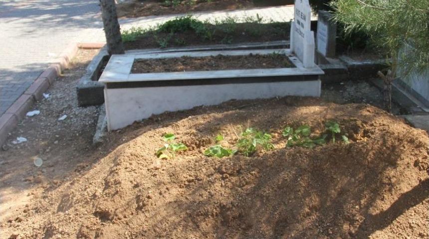 Adana&rsquo;da Esrarengiz &Ouml;l&uuml;mler