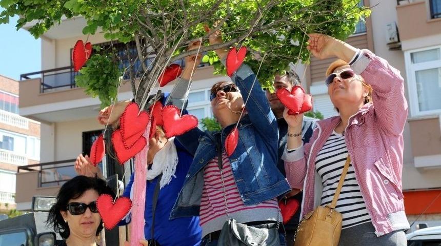 Dilekler Barış, Yuvalar Kuşlar İ&ccedil;in Oldu