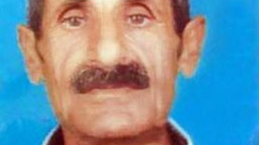 Dana, Kendisine Yem Vermeye Gelen Sahibini &Ouml;ld&uuml;rd&uuml;