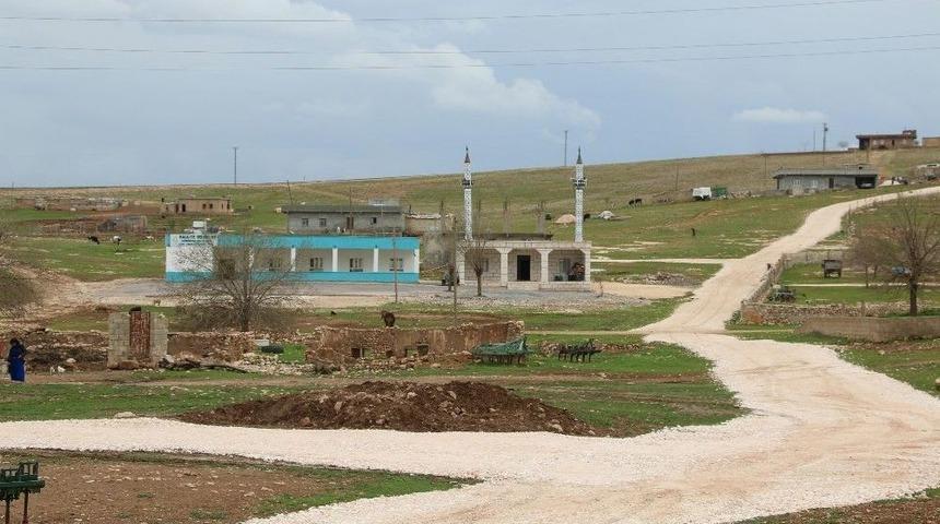 Haliliye&rsquo;de 4 Mahalllede Yol &Ccedil;alışmaları Tamamlandı