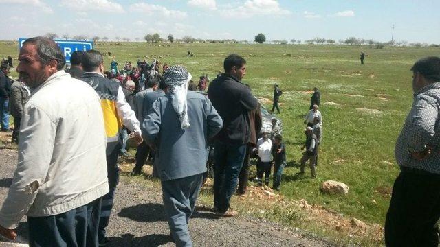 Şanlıurfa’da Feci Kaza: 4 Ölü, 8 Yaralı 1
