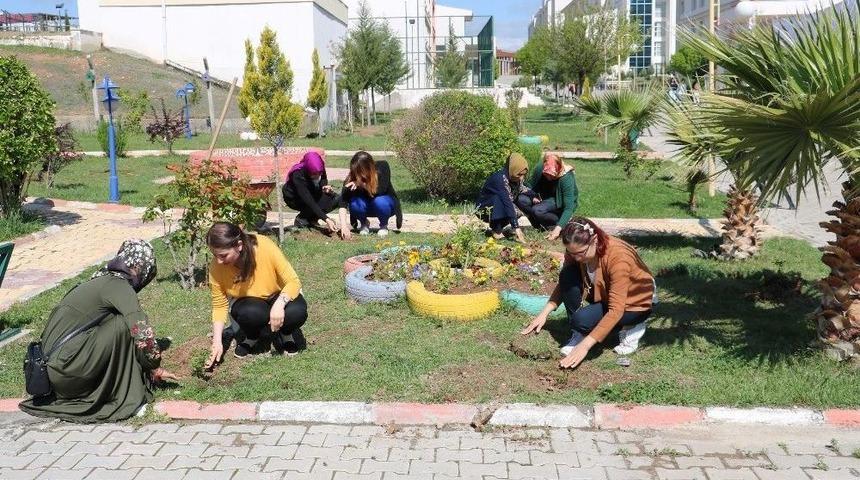 Yurt Bah&ccedil;elerine G&uuml;l Fidanları Dikildi