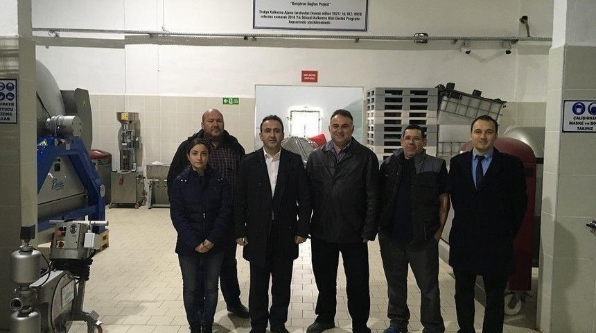 Trakya Bağcılığı İhracata Katkısını Arttırma &Ccedil;alışmaları