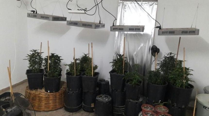 Evleri Uyuşturucu Serasına &Ccedil;eviren Zehir Tacirlerine Jandarma Tokadı