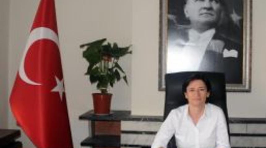 Evlatlık Edinen Hekime, Yargı Kararıyla Annelik İzni