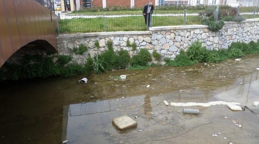 G&uuml;zelyalı&rsquo;da Dere Kirliliği