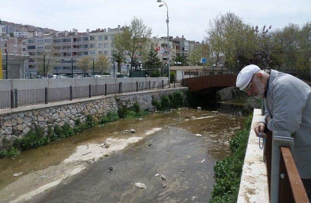 Güzelyalı’da Dere Kirliliği