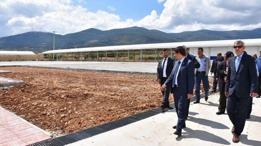 Sancaklıbozk&ouml;y Kiraz Pazarı A&ccedil;ılıyor