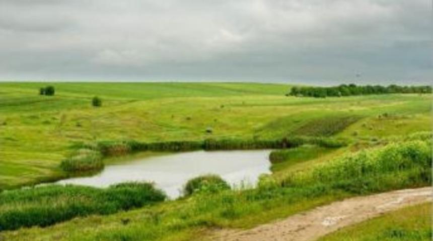 Fao’Dan Nehir Havzalarında Verimliliği Arttıracak Proje