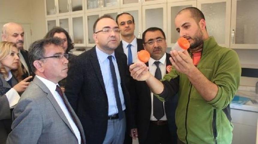 Kestane Zararlısına Karşı 'gladyat&ouml;r B&ouml;cekler'