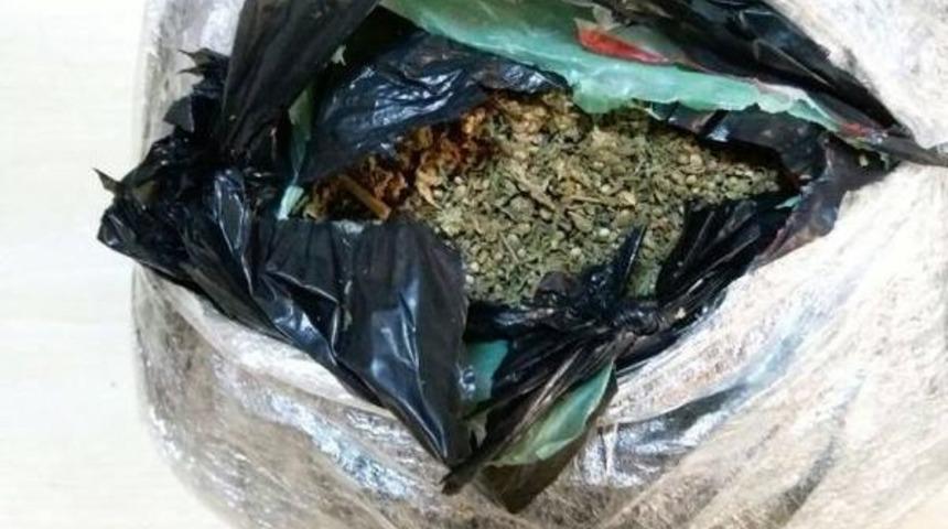 Valizinde Esrarla Yakalanan Yolcu Tutuklandı