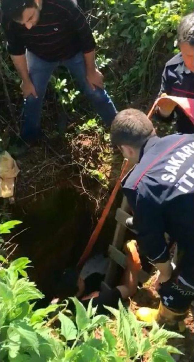 Kuyuya D&uuml;şen Inek, Iş Makinesiyle Kurtarıldı 2
