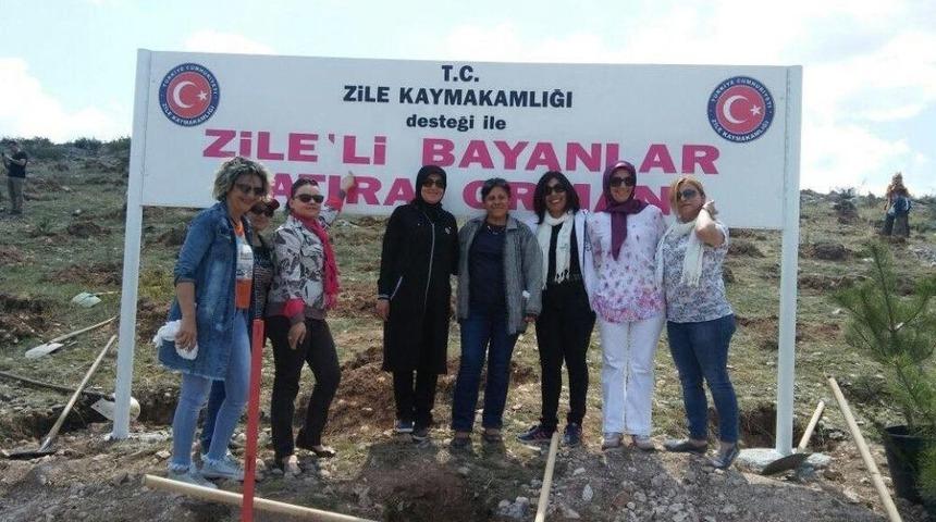 Bayanlardan Zile&rsquo;ye Hatıra Ormanı