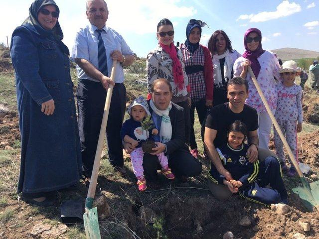 Bayanlardan Zile&rsquo;ye Hatıra Ormanı 1