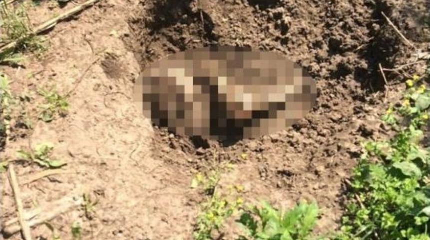 Adana’da Ormanlık Alanda Erkek Cesedi Bulundu