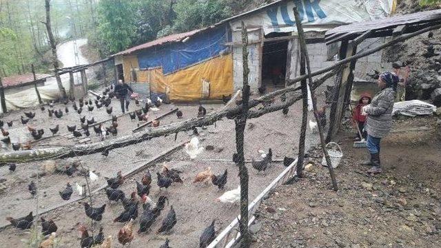 Gen&ccedil; &Ccedil;ift&ccedil;i Hibe Programı İle Hayatları Değişti 1