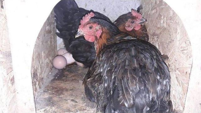 Gen&ccedil; &Ccedil;ift&ccedil;i Hibe Programı İle Hayatları Değişti 3