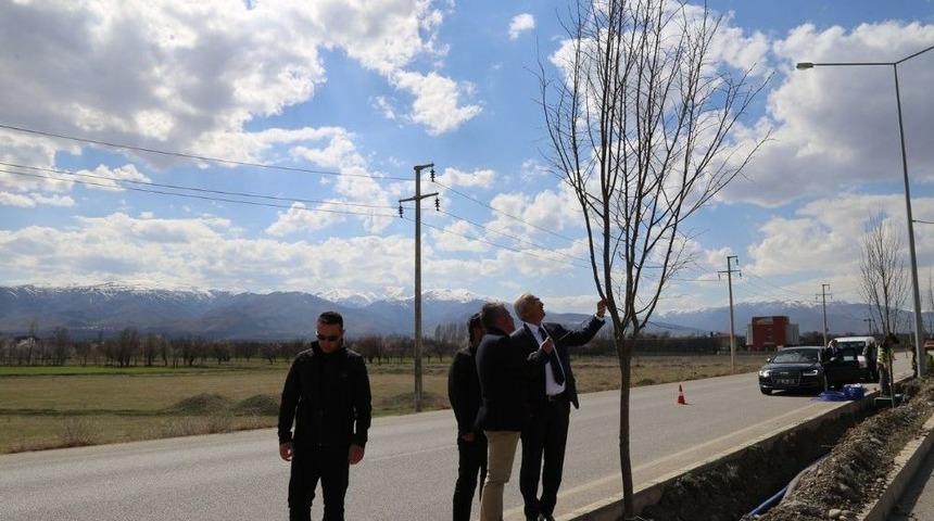 Ağa&ccedil;landırma &Ccedil;alışmaları Devam Ediyor