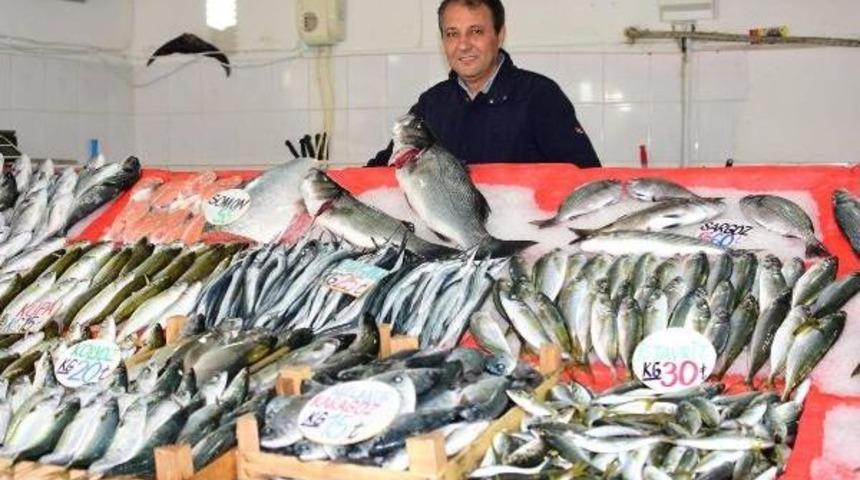 Av Yasağı Başladı, Balık Zamlandı