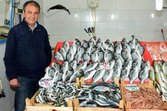 Av Yasağı Başladı, Balık Zamlandı 1