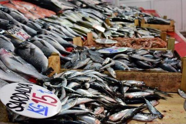 Av Yasağı Başladı, Balık Zamlandı 2