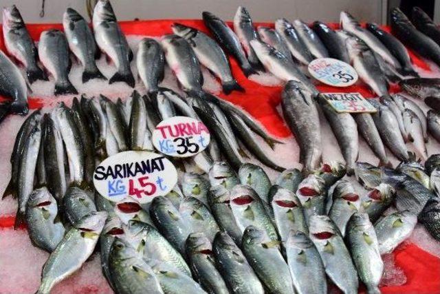 Av Yasağı Başladı, Balık Zamlandı 3