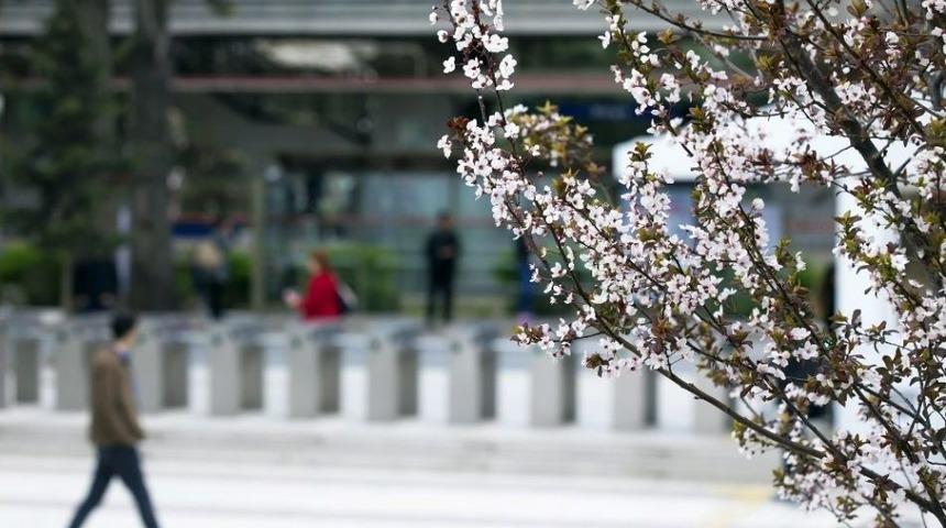 Bahar Alerjisine Karşı Uzmanlardan Altın Uyarı