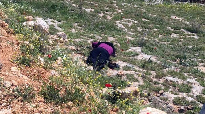 Şanlıurfa&rsquo;da Trafik Kazası: 1 &Ouml;l&uuml;, 2 Yaralı