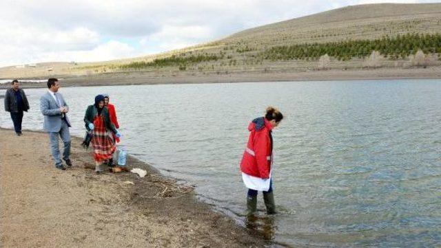 Tekederesi Göletinde Toplu Balık Ölümü